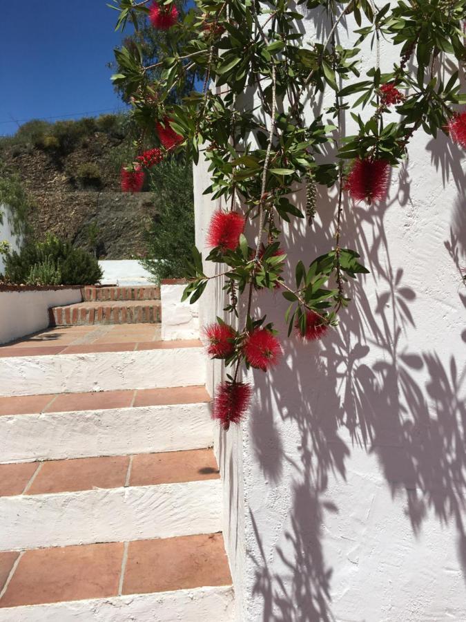 Canillas de Aceituno B&B And Apartments Cortijo La Zapatera المظهر الخارجي الصورة