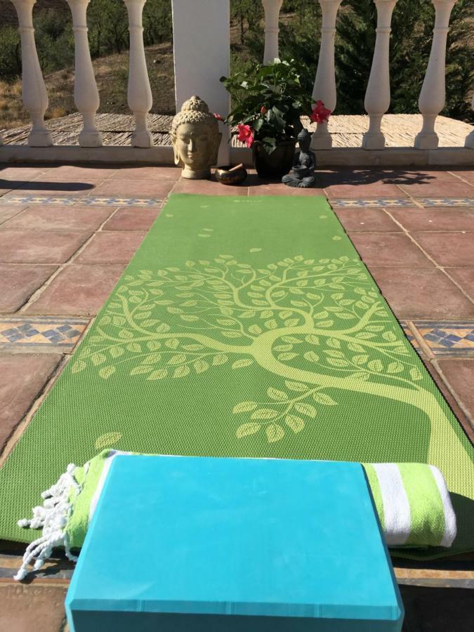 Canillas de Aceituno B&B And Apartments Cortijo La Zapatera المظهر الخارجي الصورة