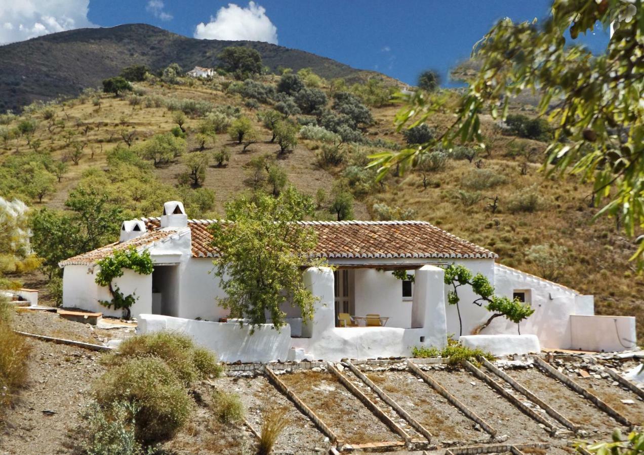 Canillas de Aceituno B&B And Apartments Cortijo La Zapatera المظهر الخارجي الصورة
